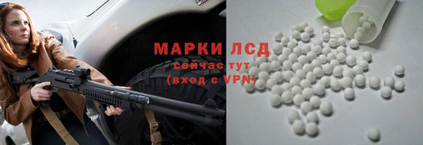 PSILOCYBIN Карпинск