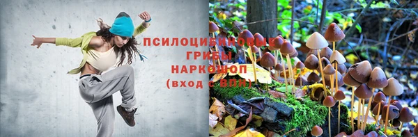 прущая мука Касимов