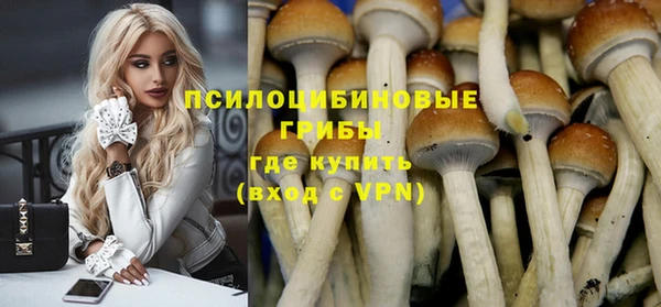 прущая мука Касимов