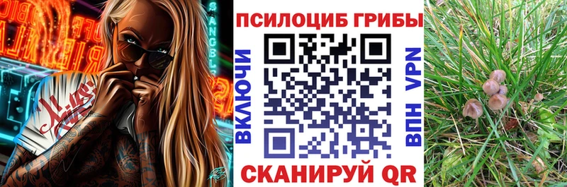 Купить где  Онега  Псилоцибиновые грибы Magic Shrooms 
